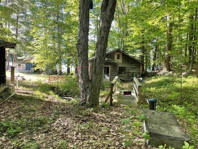Your Dream Lake Escape on Shadow Lake Awaits! Seize this - photo 7