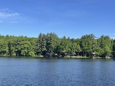 Your Dream Lake Escape on Shadow Lake Awaits! Seize this - photo 9