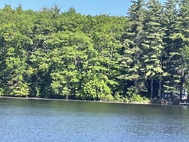 Your Dream Lake Escape on Shadow Lake Awaits! Seize this - photo 10
