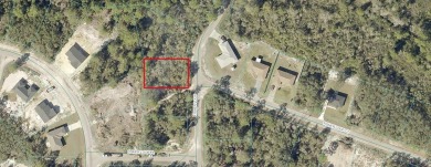 Lake Lot For Sale in Ocklawaha, Florida