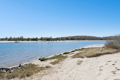 This rare, charming beachfront escape feels like you are on the - photo 15
