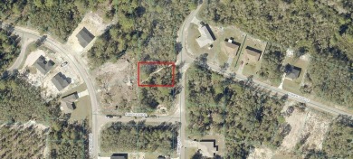 Lake Lot For Sale in Ocklawaha, Florida