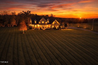 (private lake, pond, creek) Home For Sale in Blountville Tennessee