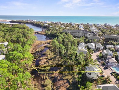 Set within the desirable Lakeside at Blue Mountain Beach - photo 8