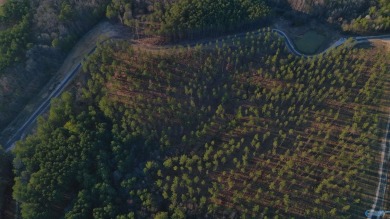 Lake Acreage For Sale in Centre, Alabama