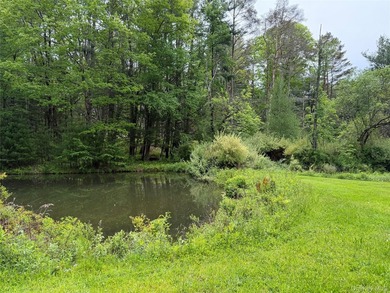 Your Own Private Paradise Awaits Some properties check the boxes - photo 4