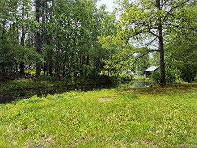 Your Own Private Paradise Awaits Some properties check the boxes - photo 8