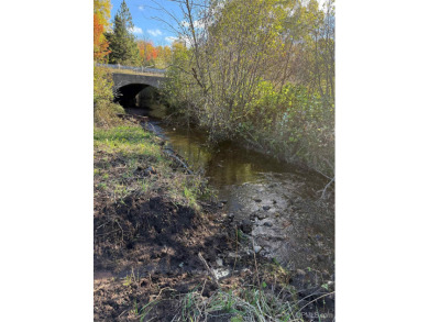 Lake Acreage For Sale in Hancock, Michigan