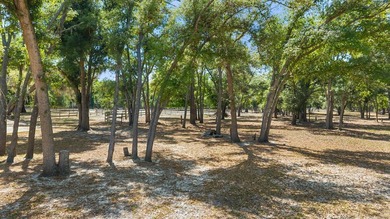 Welcome to B-4 Ranch, a rare 300 acre high fenced hunting - photo 32