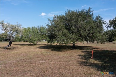Lake Lot For Sale in Goliad, Texas