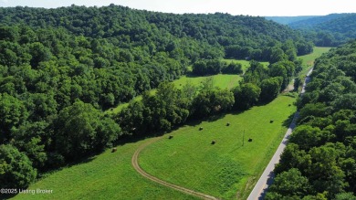 Lake Home For Sale in Bedford, Kentucky