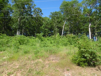Tennessee River - Decatur County Lot For Sale in Bath Springs Tennessee