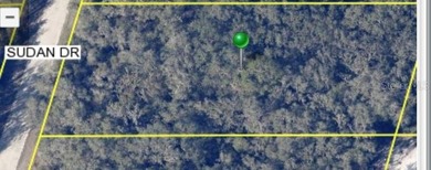 Withlacoochee River Lot For Sale in Webster Florida