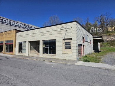 Greenbrier River Commercial For Sale in Ronceverte West Virginia