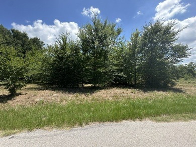 Don't miss your chance to own a beautiful lot in the highly - photo 3