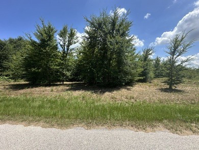 Don't miss your chance to own a beautiful lot in the highly - photo 4