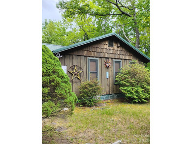 (private lake, pond, coastal) Home For Sale in Collettsville North Carolina