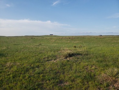 Haythorn's Lake McConaughy Vistas will be 10 plus acre lots - photo 19