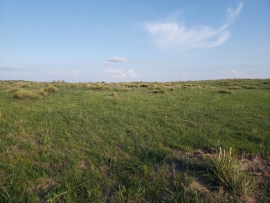 Haythorn's Lake McConaughy Vistas will be 10 plus acre lots - photo 20