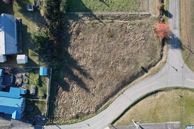 Prime development opportunity in Sequim! The Bradley Ridge - photo 2