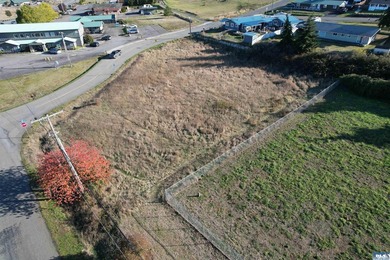 Prime development opportunity in Sequim! The Bradley Ridge - photo 3