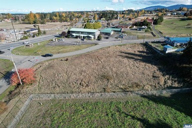 Prime development opportunity in Sequim! The Bradley Ridge - photo 4