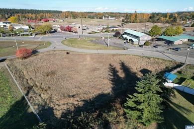 Prime development opportunity in Sequim! The Bradley Ridge - photo 6