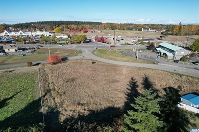 Prime development opportunity in Sequim! The Bradley Ridge - photo 7
