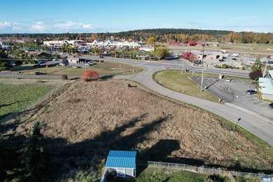 Prime development opportunity in Sequim! The Bradley Ridge - photo 8
