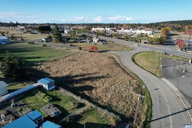 Prime development opportunity in Sequim! The Bradley Ridge - photo 9