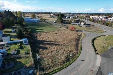 Prime development opportunity in Sequim! The Bradley Ridge - photo 10