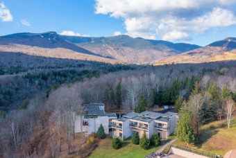 (private lake, pond, creek) Townhome/Townhouse For Sale in Stowe Vermont