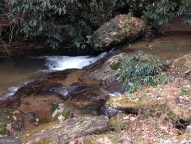 (private lake, pond, creek) Acreage For Sale in Sautee Nacoochee Georgia
