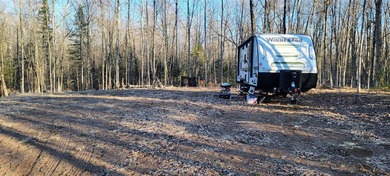 Welcome to this spacious and peaceful .95-acre lot in Birchwood! - photo 13