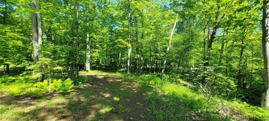 Welcome to this spacious and peaceful .95-acre lot in Birchwood! - photo 14