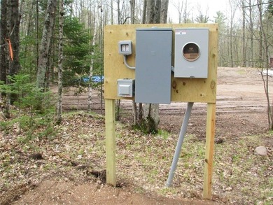 Welcome to this spacious and peaceful .95-acre lot in Birchwood! - photo 15