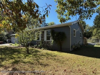 Lake Home For Sale in Pleasant Lake, Michigan