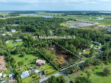 Opportunity knocks on Lady's Island! Looking to build, develop - photo 6