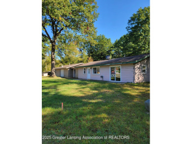 Lake Home For Sale in Beaverton, Michigan