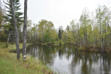 Lake Acreage For Sale in Perronville, Michigan