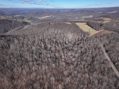 Additional listing photo 4