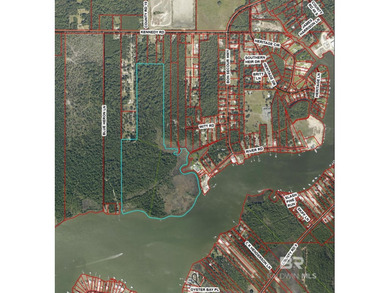 Rare opportunity to own a Spacious 102 Acre Estate on the Bon - photo 1