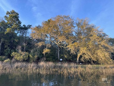Rare opportunity to own a Spacious 102 Acre Estate on the Bon - photo 3