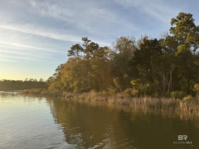 Rare opportunity to own a Spacious 102 Acre Estate on the Bon - photo 4