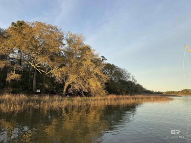 Rare opportunity to own a Spacious 102 Acre Estate on the Bon - photo 5