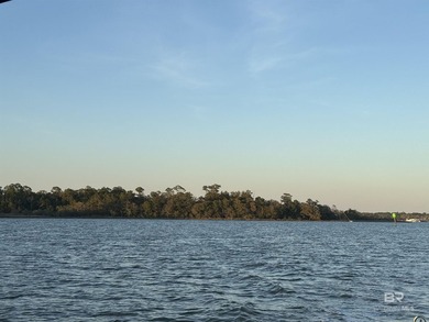 Rare opportunity to own a Spacious 102 Acre Estate on the Bon - photo 7