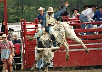 (private lake, pond, creek) Home For Sale in Ellicottville New York