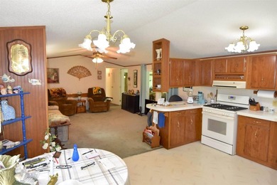 Waterfront living on Trestle Works Bay with a true fish-spawning - photo 6