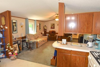 Waterfront living on Trestle Works Bay with a true fish-spawning - photo 7
