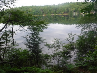 Perch Pond Lot For Sale in Benson Vermont